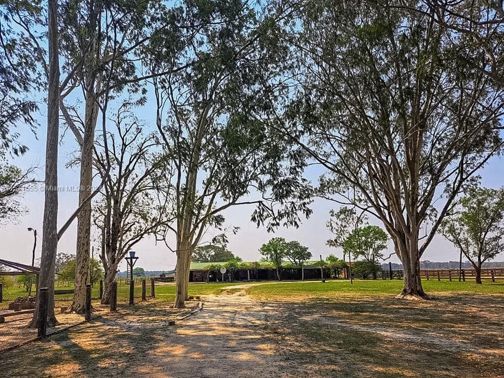 MONTELINDO, 00, ,Commercial Land,For Sale,MONTELINDO,A11541555