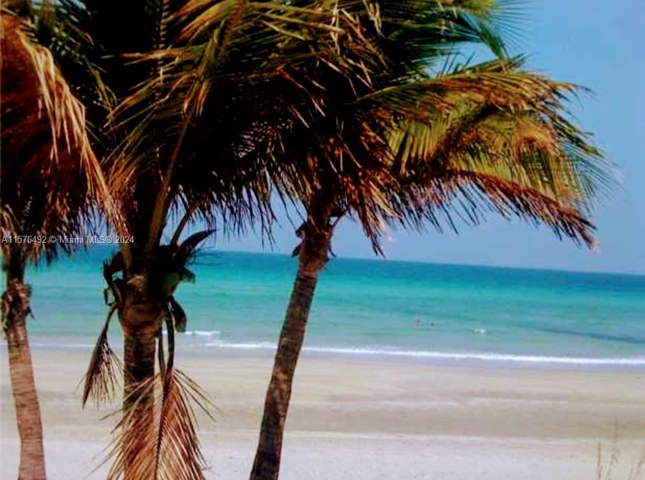 2030 Ocean Dr, Hallandale Beach, Florida 33009, 2 Bedrooms Bedrooms, ,2 BathroomsBathrooms,Residential,For Sale,PARKER PLAZA ESTATES,Ocean Dr,A11576492