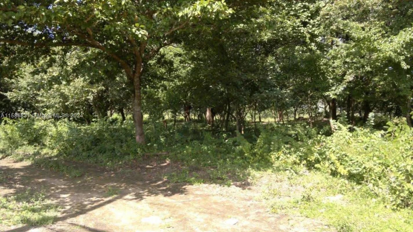 No # Liberia frente a Carretera y Aeropuerto 36 HTS C R, CR, ,Land/boat Docks,For Sale,LLano Grande Liberia,Liberia frente a Carretera y Aeropuerto 36 HTS C R,A11586831
