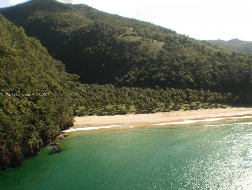 El Valle, Florida 32000, ,Commercial Land,For Sale,El Valle,A11801815