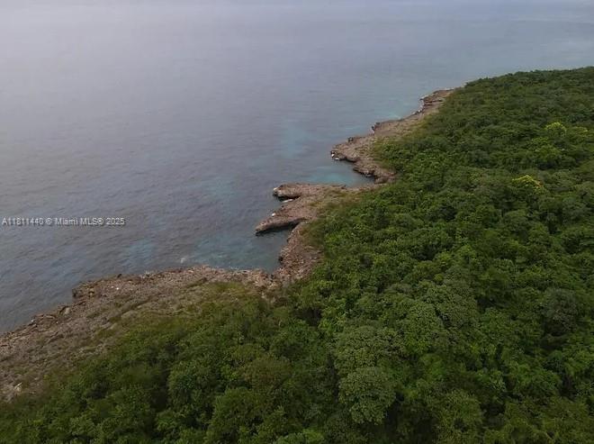 00 COUSINS COVE, HANOVER JAMAICA, NA, ,Land/boat Docks,For Sale,NA,COUSINS COVE, HANOVER JAMAICA,A11811440