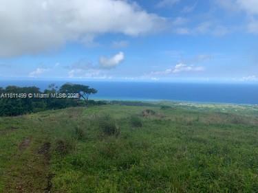 00 PRIME OCEANVIEW ST ANN, JAMAICA, NA, ,Land/boat Docks,For Sale,NA,PRIME OCEANVIEW ST ANN, JAMAICA,A11811499