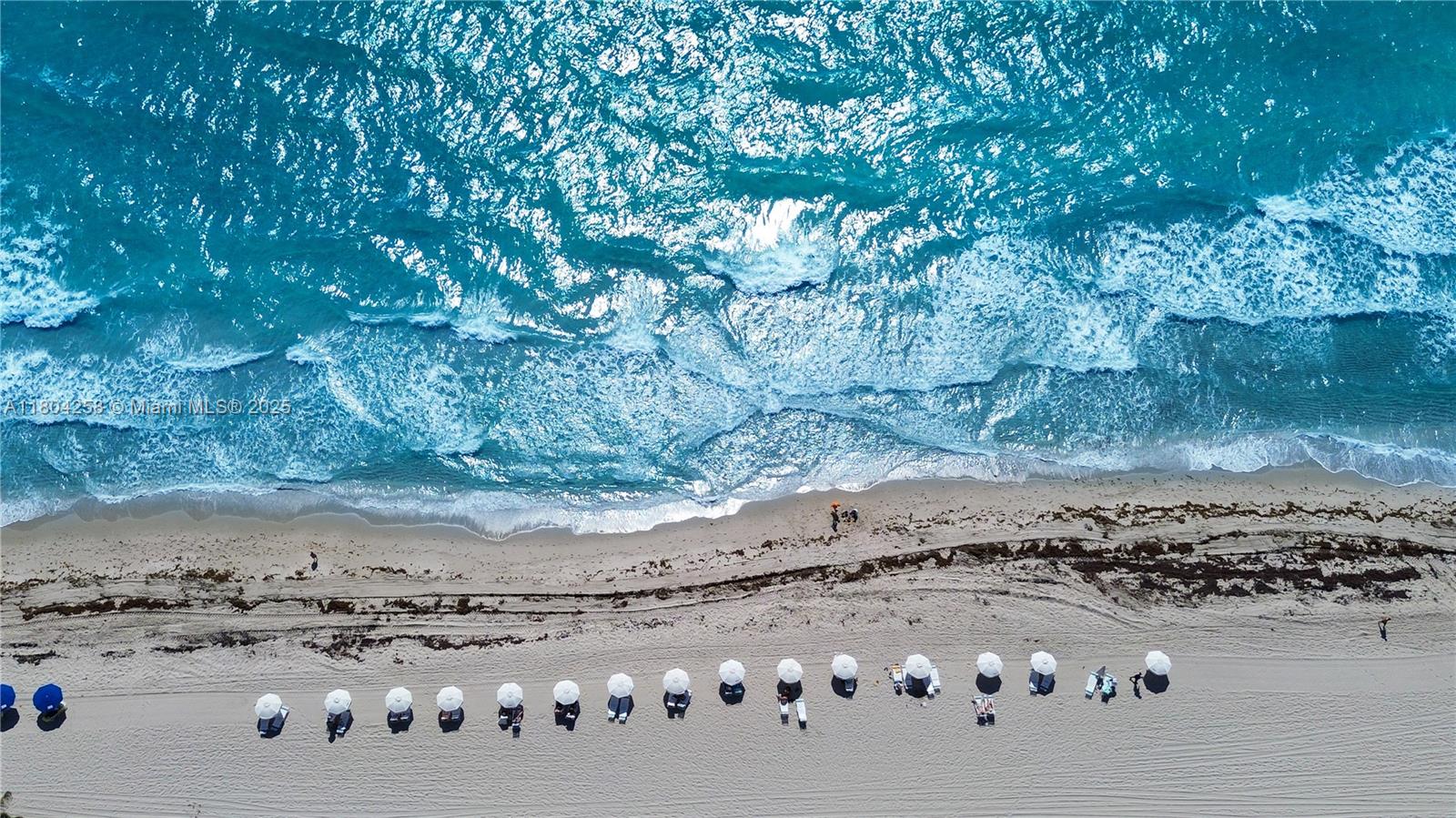 2080 Ocean Dr, Hallandale Beach, Florida 33009, 2 Bedrooms Bedrooms, ,2 BathroomsBathrooms,Residential Lease,For Rent,2080 OCEAN DRIVE CONDO,Ocean Dr,A11804258