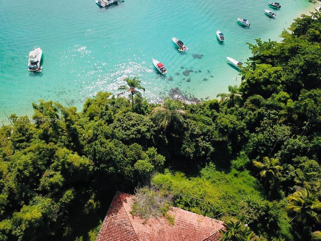 Ilha do Dentista, Other Country - Not In USA, RJ Brazil, ,Commercial Land,For Sale,Ilha do Dentista,A11377482