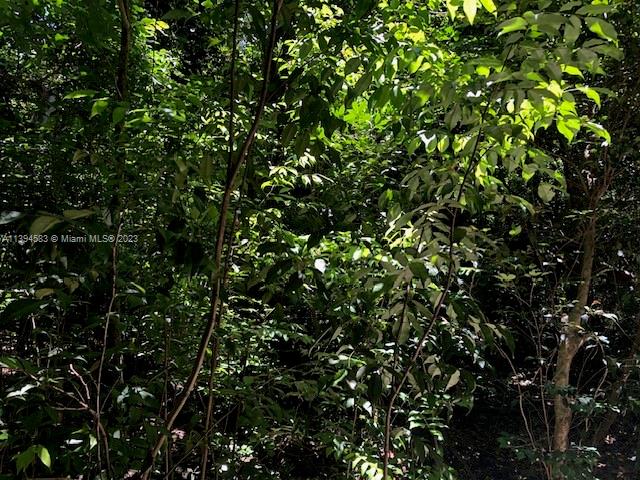 419 9th St, Hallandale Beach, Florida 33009, ,Commercial Land,For Sale,HALLANDALE PARK NO 4 AMEN,9th St,A11394583