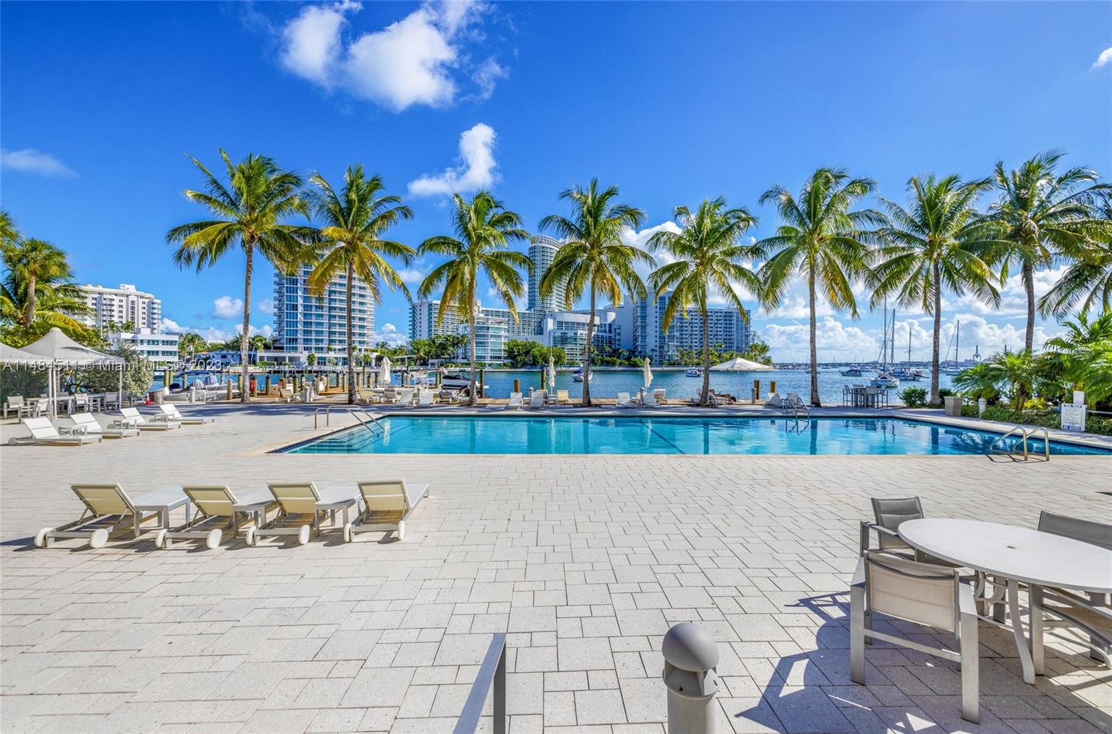 The pool under the palms on the bay-side deck