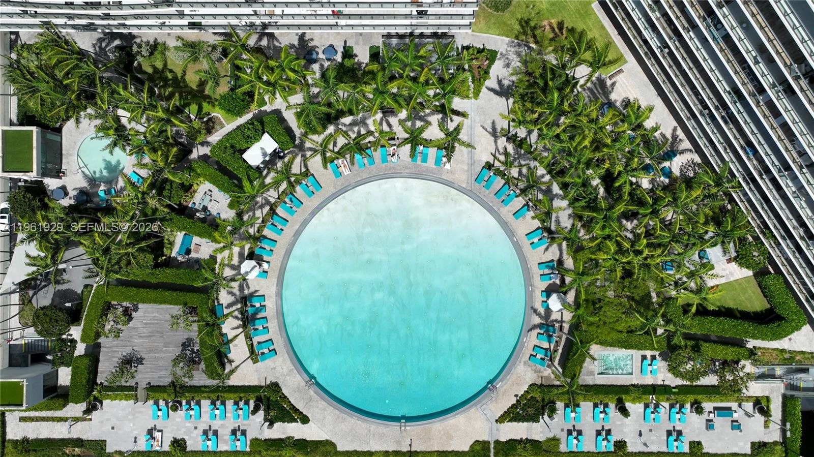 Aerial view of the lagoon pool and palm-lined deck