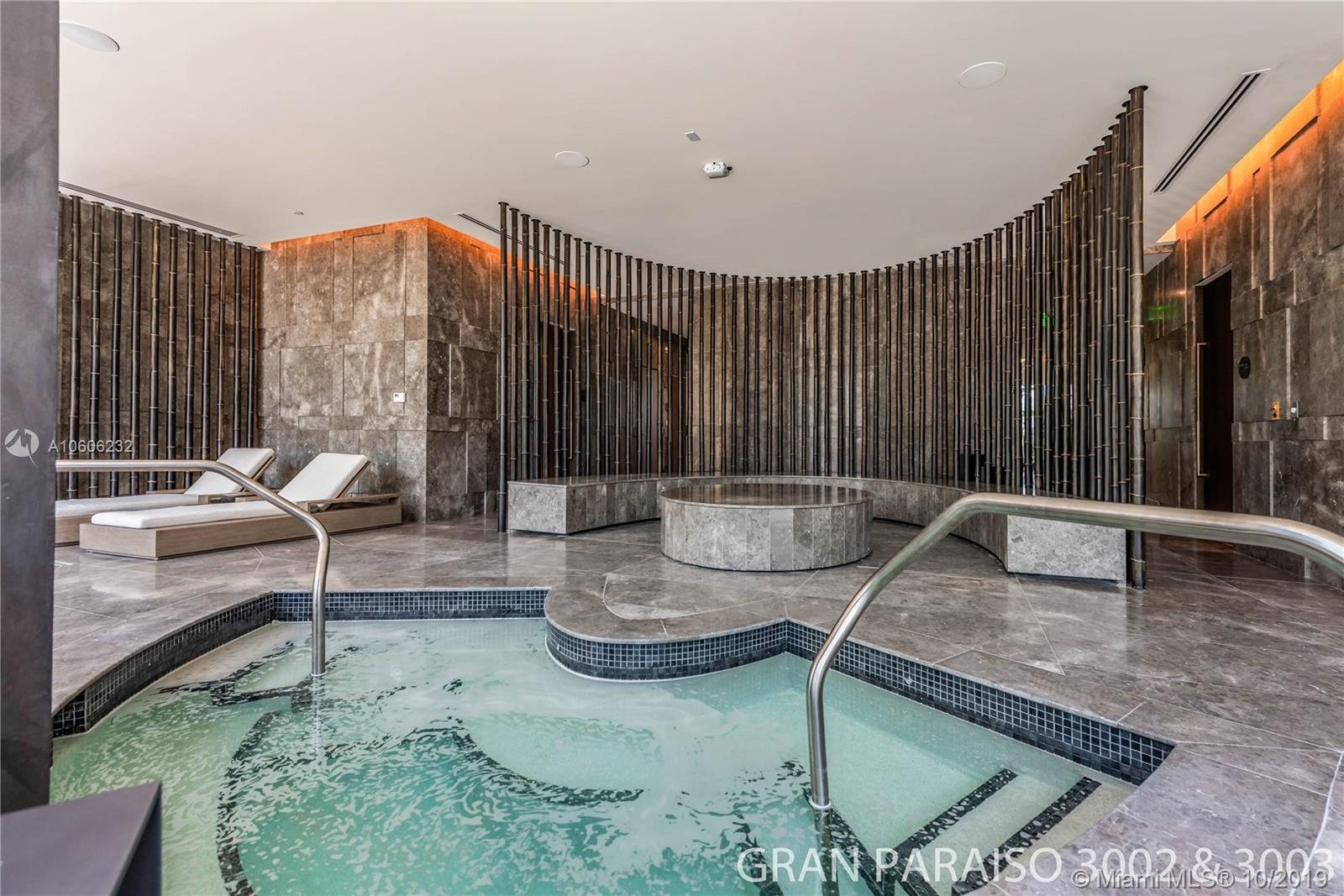 Spa and plunge pool