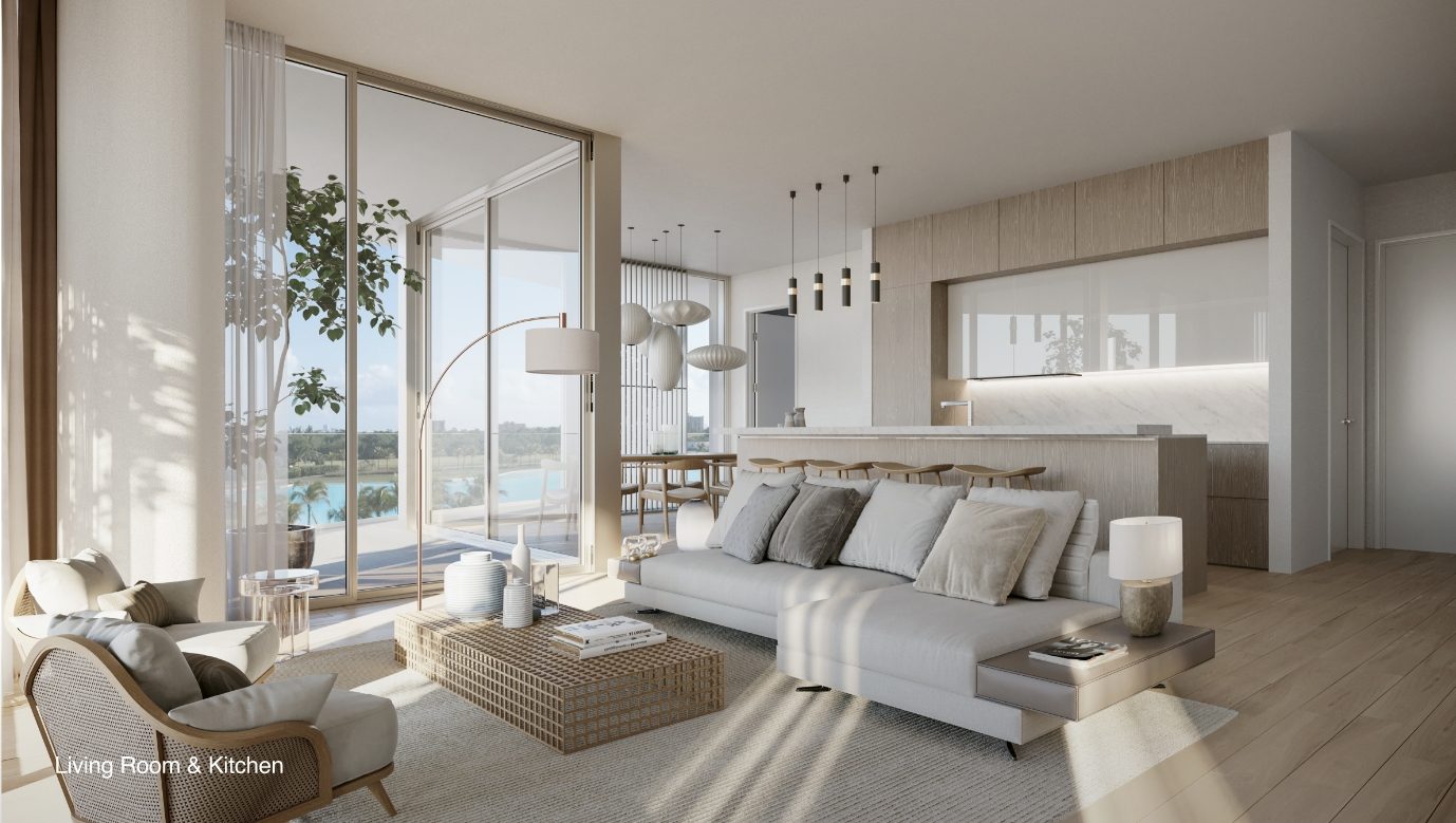Living room and kitchen